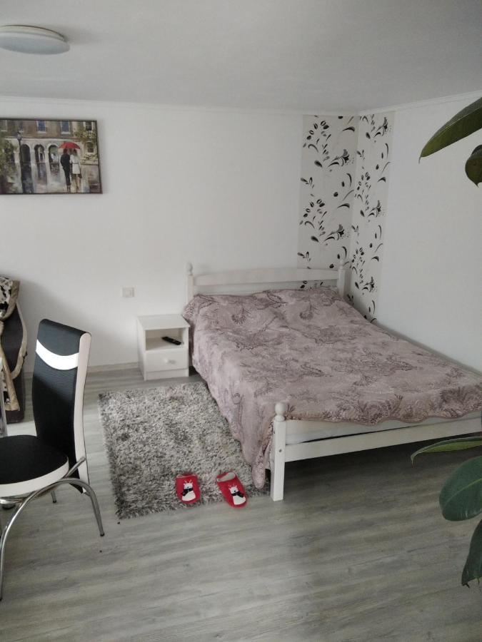 Villa Casuta Bunicilor à Dorna Cindrenilor Extérieur photo