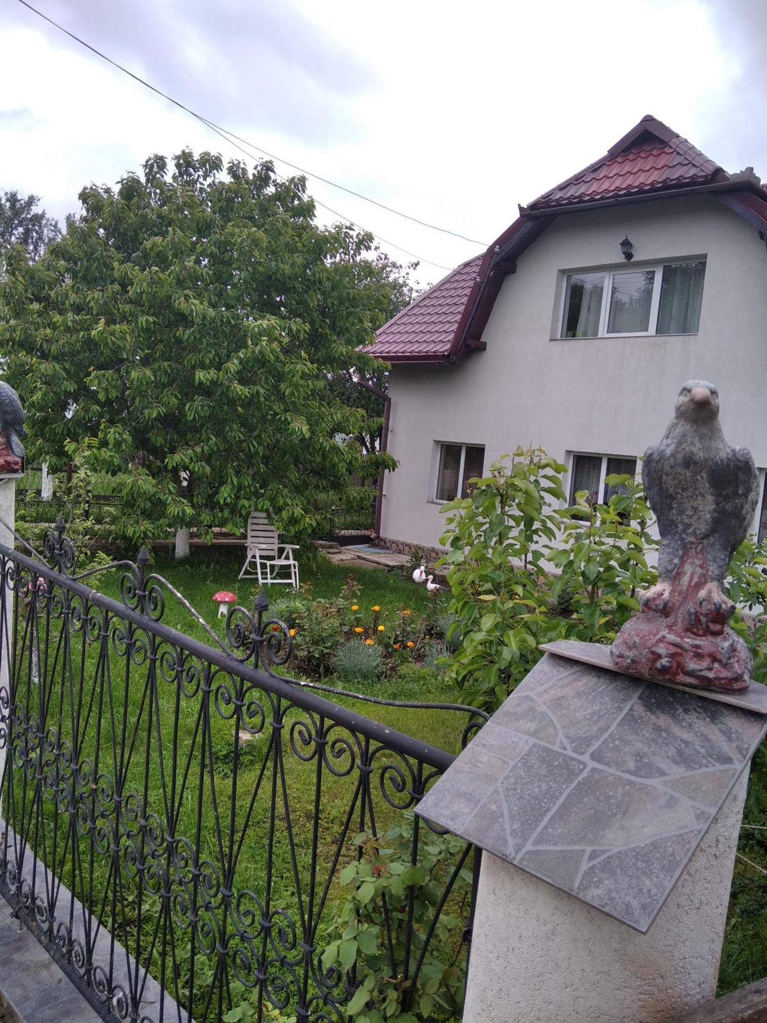 Villa Casuta Bunicilor à Dorna Cindrenilor Extérieur photo