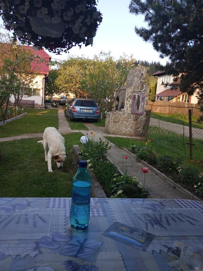 Villa Casuta Bunicilor à Dorna Cindrenilor Extérieur photo