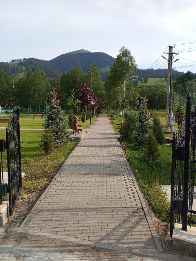 Villa Casuta Bunicilor à Dorna Cindrenilor Extérieur photo
