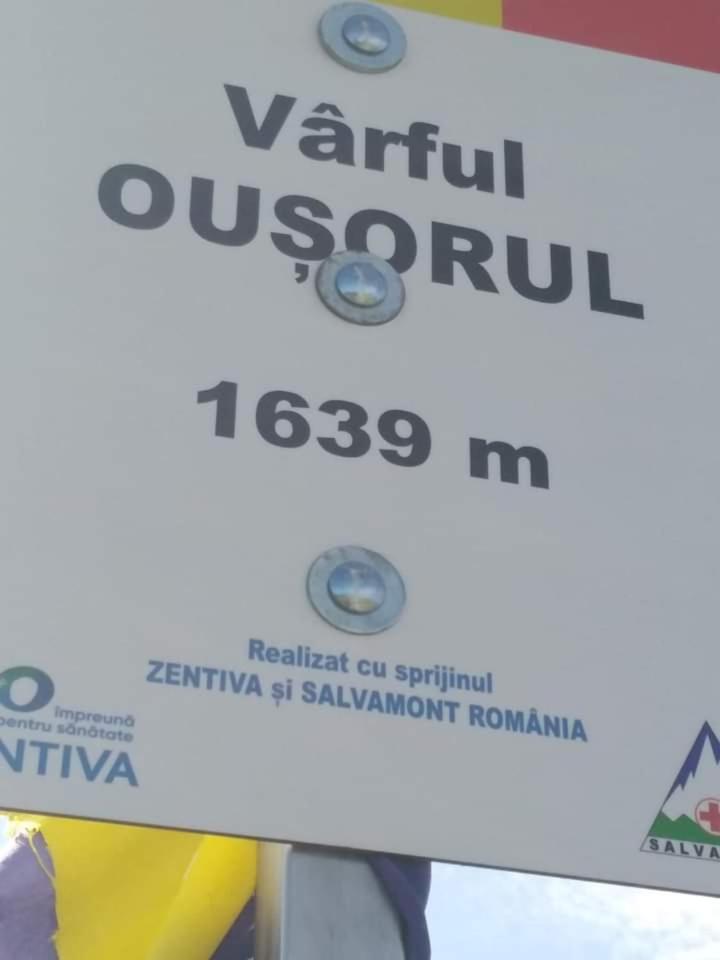 Villa Casuta Bunicilor à Dorna Cindrenilor Extérieur photo